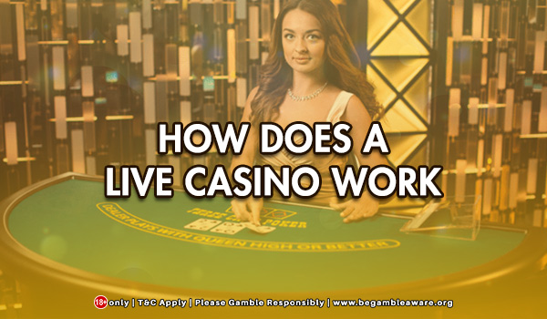 How does a Live Casino work?