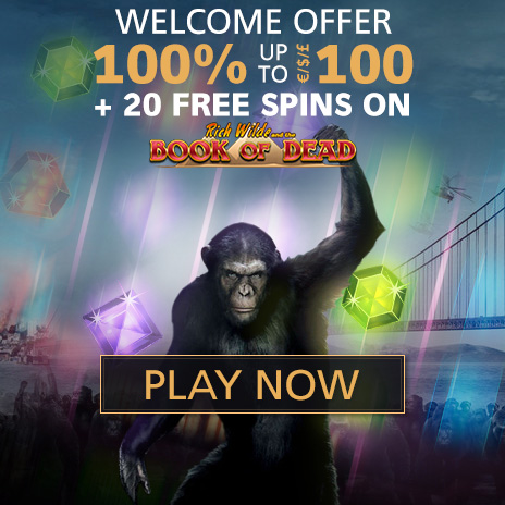 Online Casino