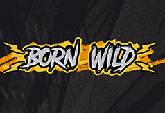 born-wild