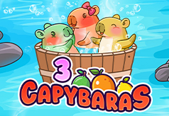 3 Capybaras