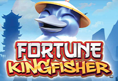 Fortune Kingfisher