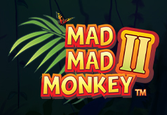 Mad Mad Monkey ii
